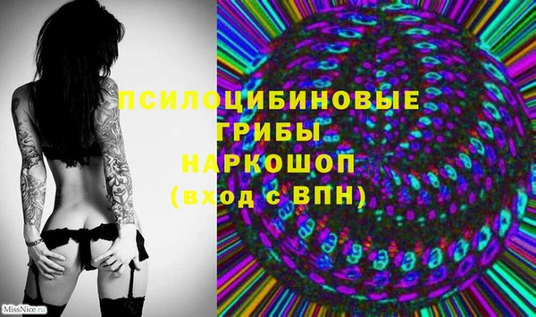 дмт Алексеевка